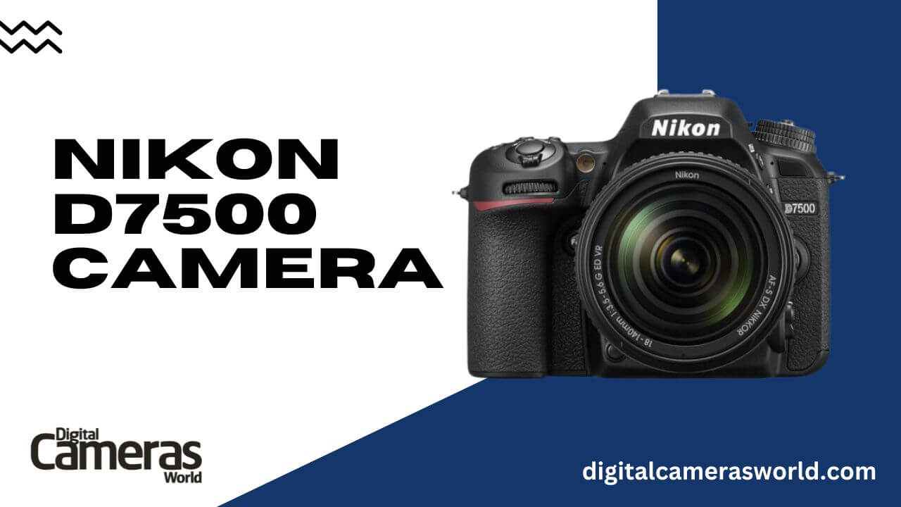 Nikon D7500 Camera review
