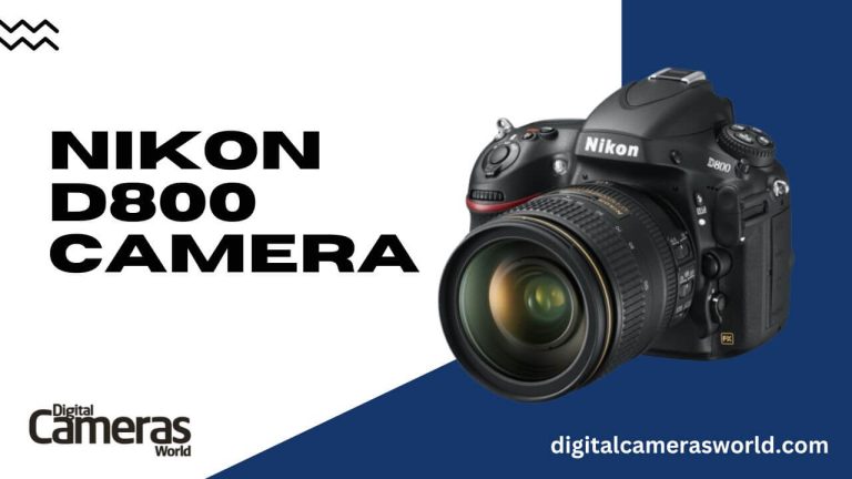 Nikon D800 Camera Review