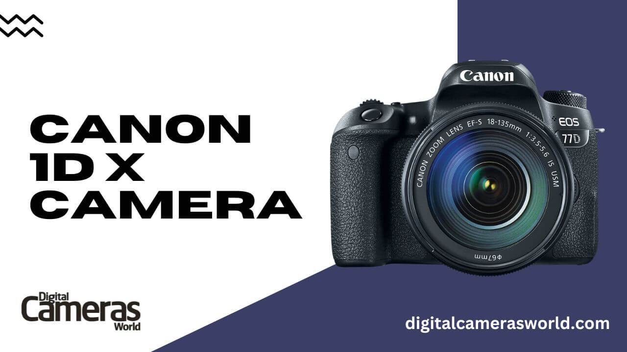 Canon 1D X Camera review