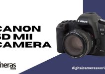 Canon EOS 5D MII Camera Review 2023