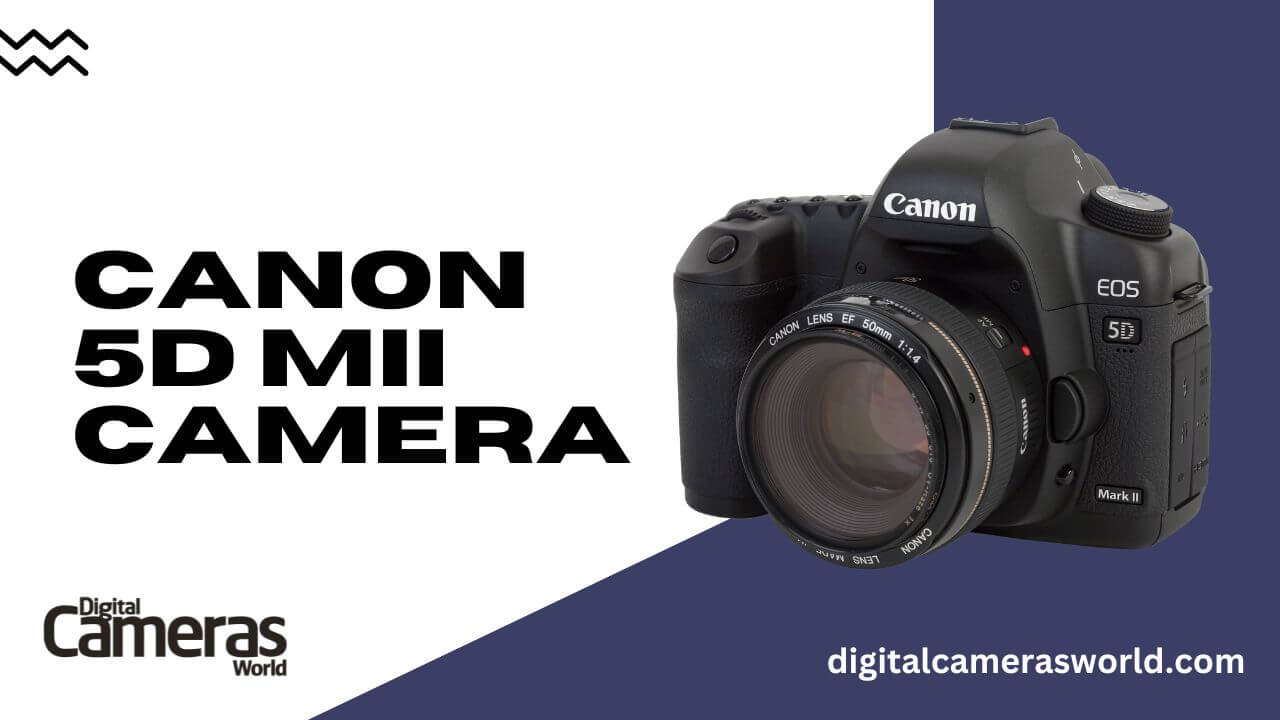 Canon 5D MII Camera Review