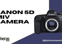 Canon 5D MIV Camera Review 2023