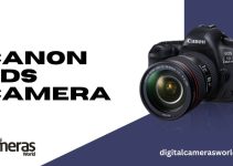 Canon 5DS Camera Review 2023
