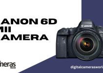 Canon 6D MII Camera Review 2023