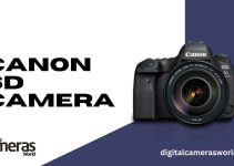  Canon 6D Camera Review 2023