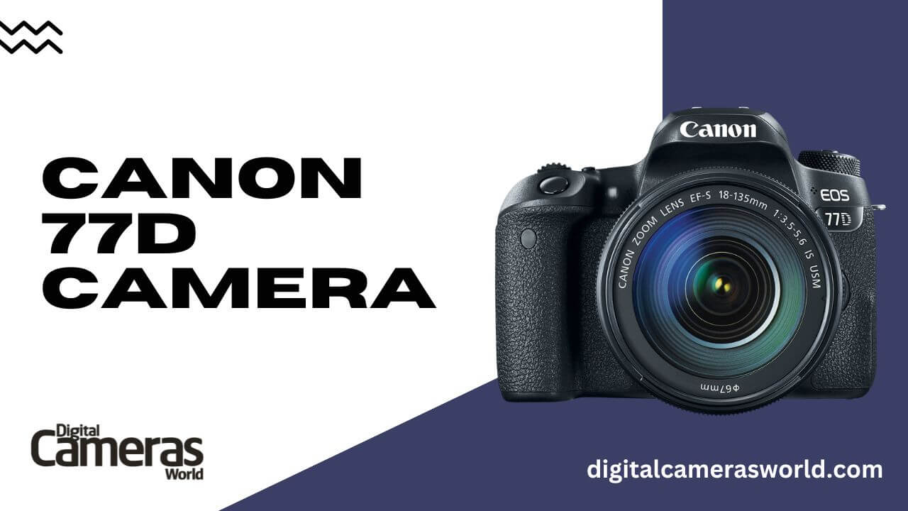Canon 77D Camera review