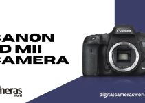 Canon 7D MII Camera Review 2023