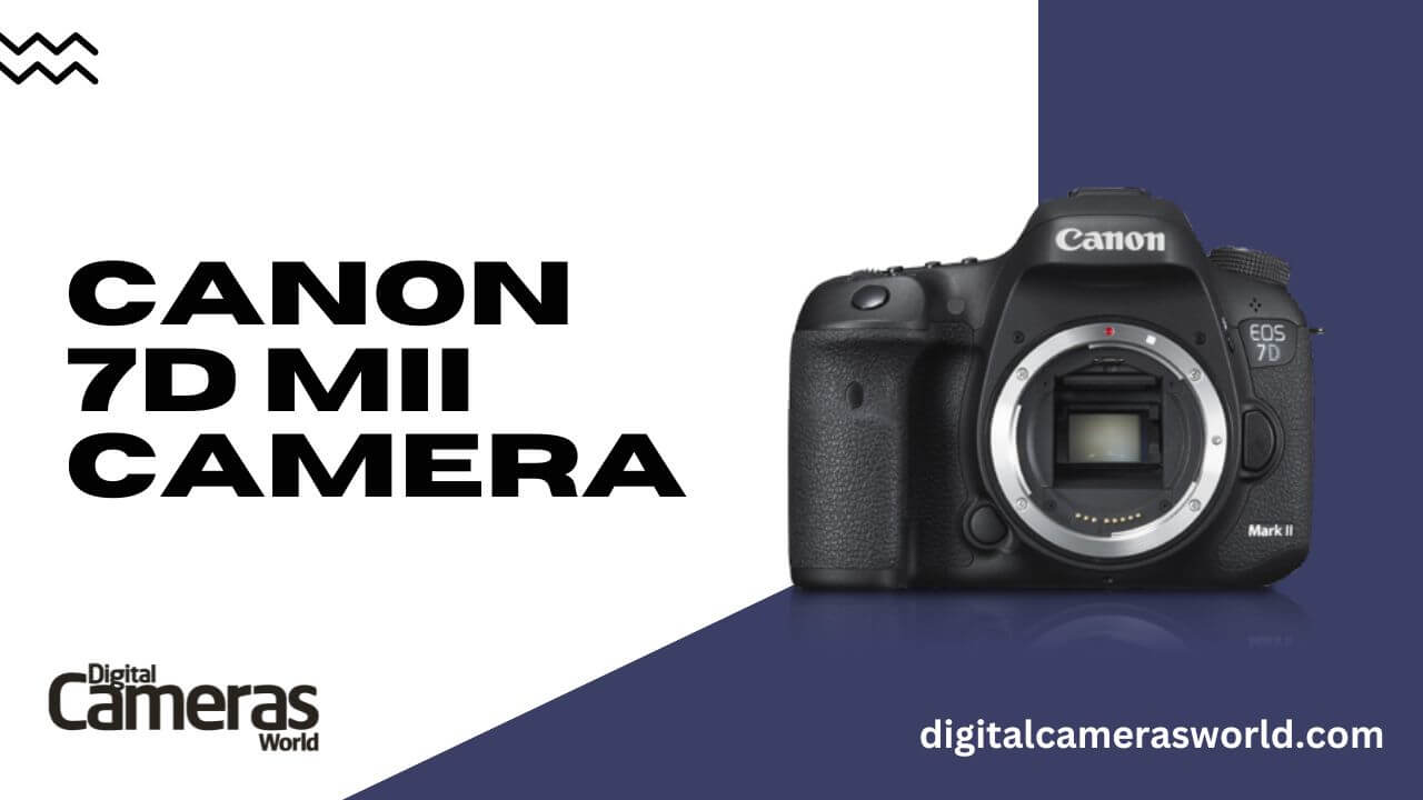 Canon 7D MII Camera review