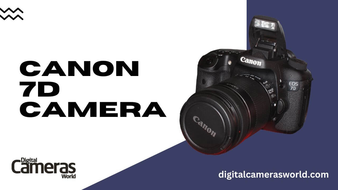 Canon 7D Camera review