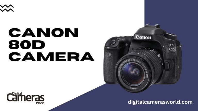 Canon 80D Camera Review 2023