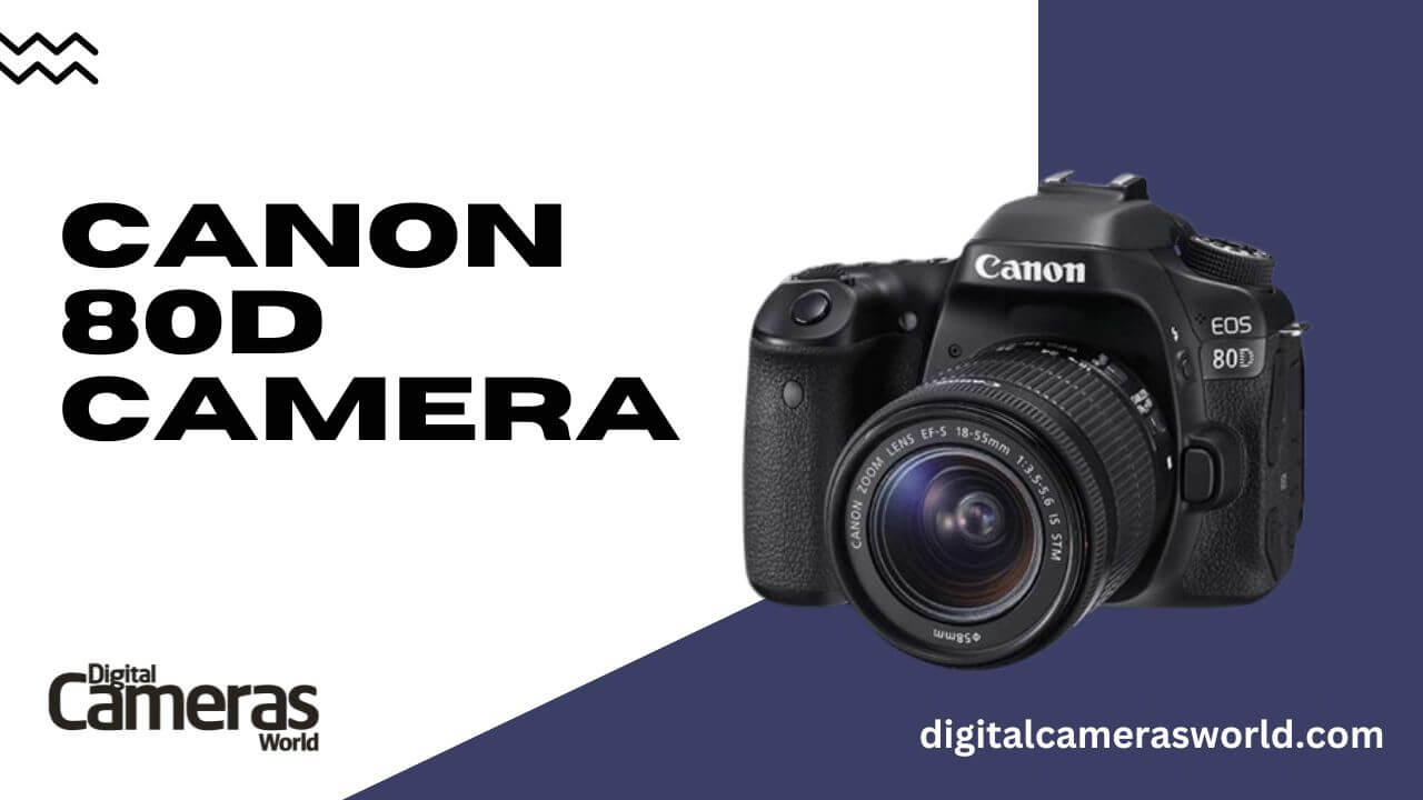 Canon 80D Camera review
