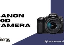 Canon 90D Camera Review 2023