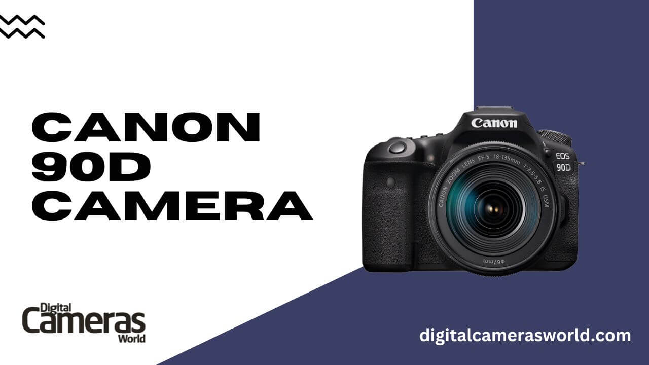 Canon 90D Camera Review
