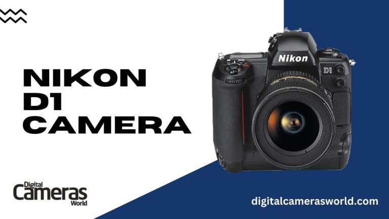 Nikon D1 Camera Review 2023
