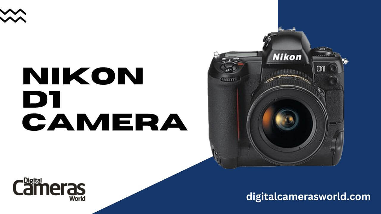 Nikon D1 Camera review