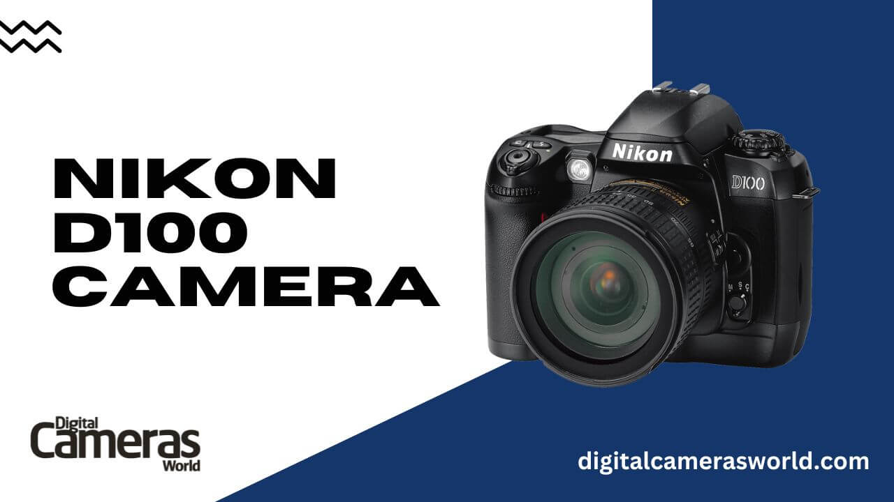 Nikon D100 Camera review