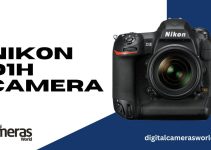 Nikon D1H Camera Review 2023