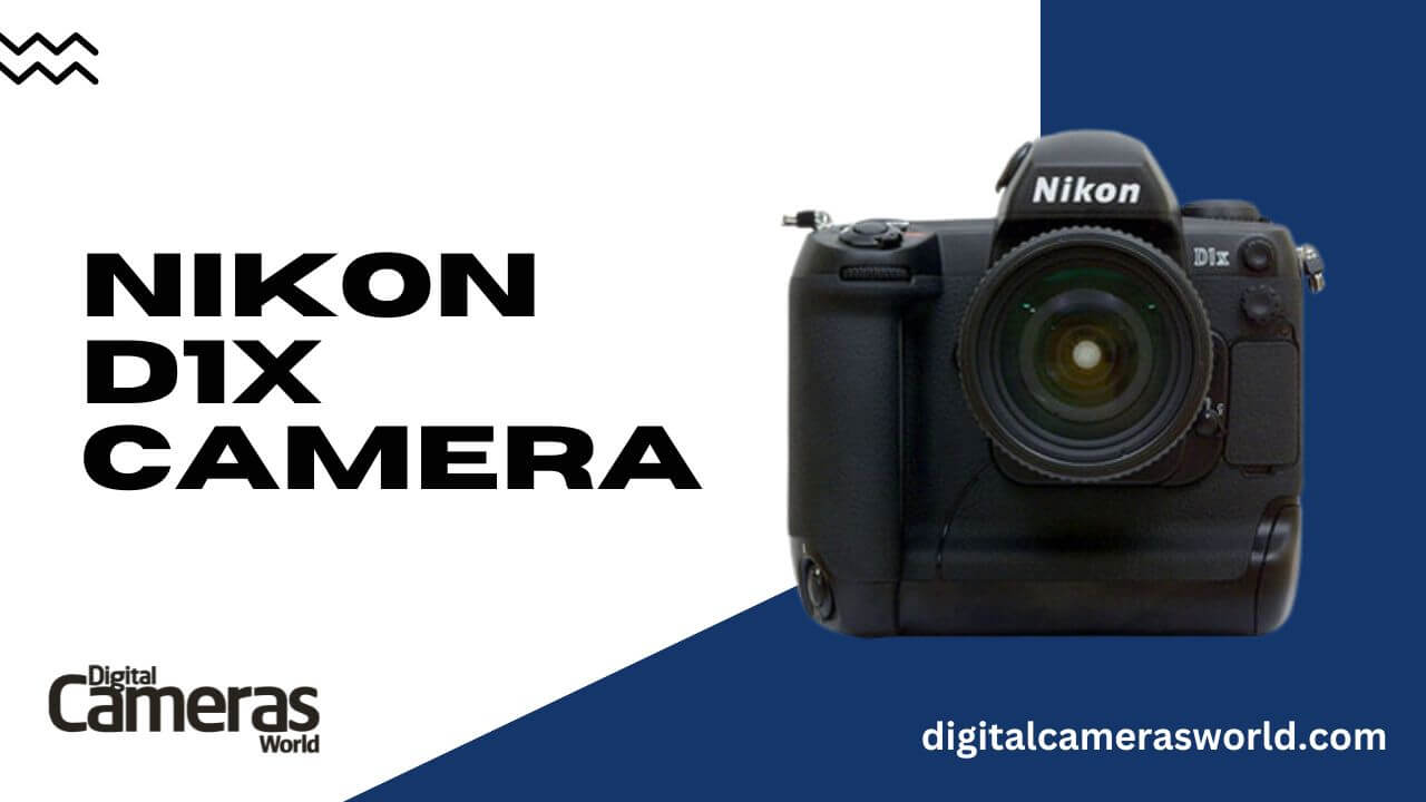 Nikon D1X Camera review