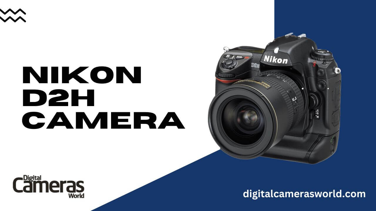 Nikon D2H Camera review