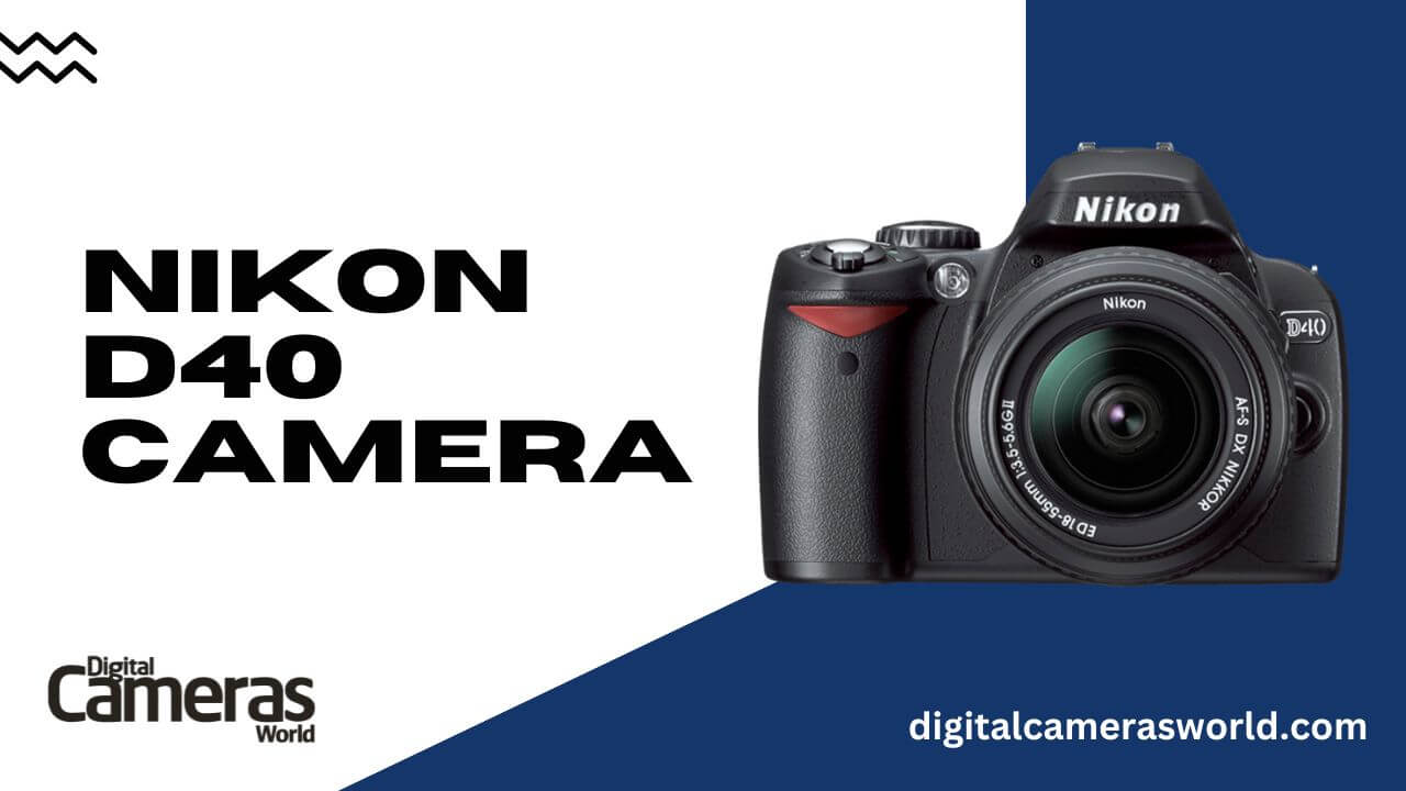 Nikon D40 Camera review