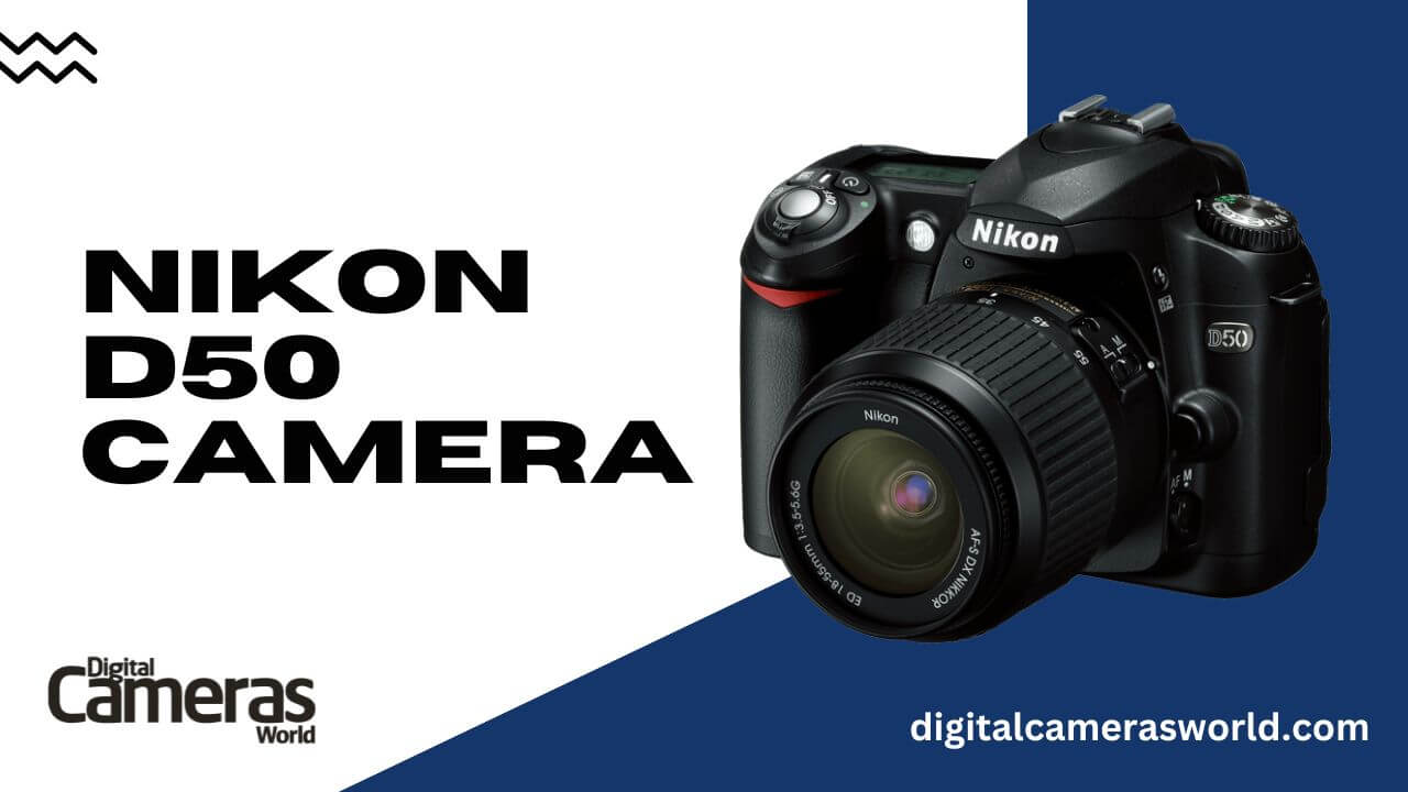 Nikon D50 Camera review