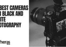 10 Best Cameras for Black and White Photography (Monochrome) 2023 Guide